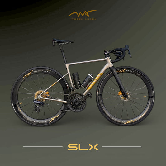 Wheel Angel SLX 49/54 carbon spoke disc wheels custom built on road bike