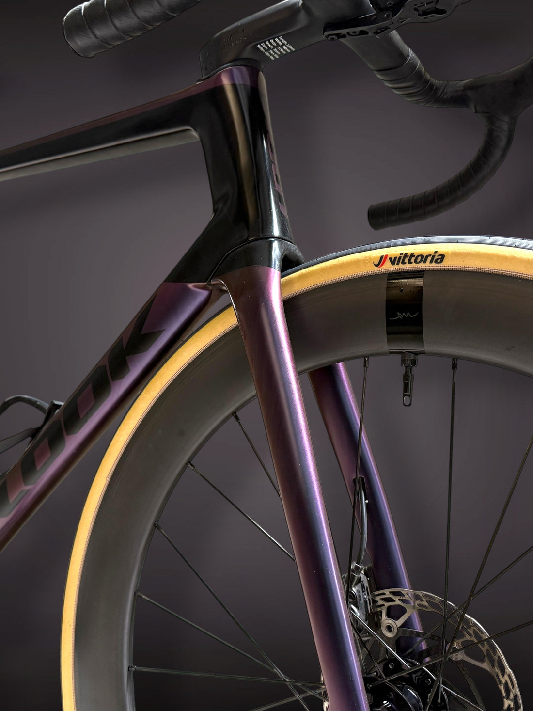 LOOK 795 Blade RS carbon fork and Wheel Angel SLR 60 matte carbon wheel with Chris King R45D disc hub