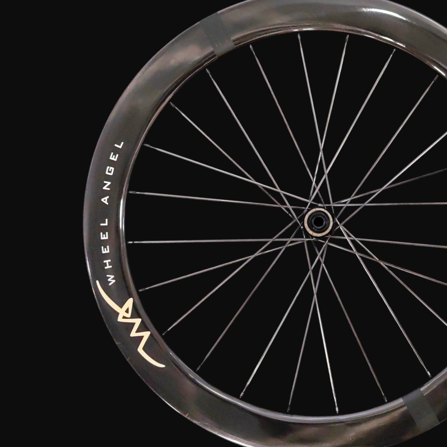 SLR_49mm_Carbon_Disc_Wheel