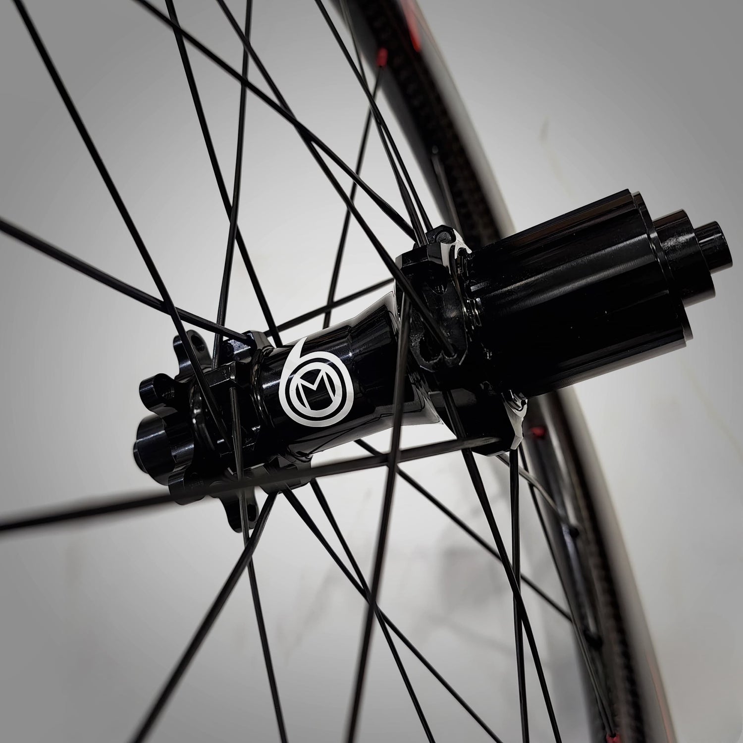 Wheel_Angel_Birdy_Bike_Carbon_Wheel