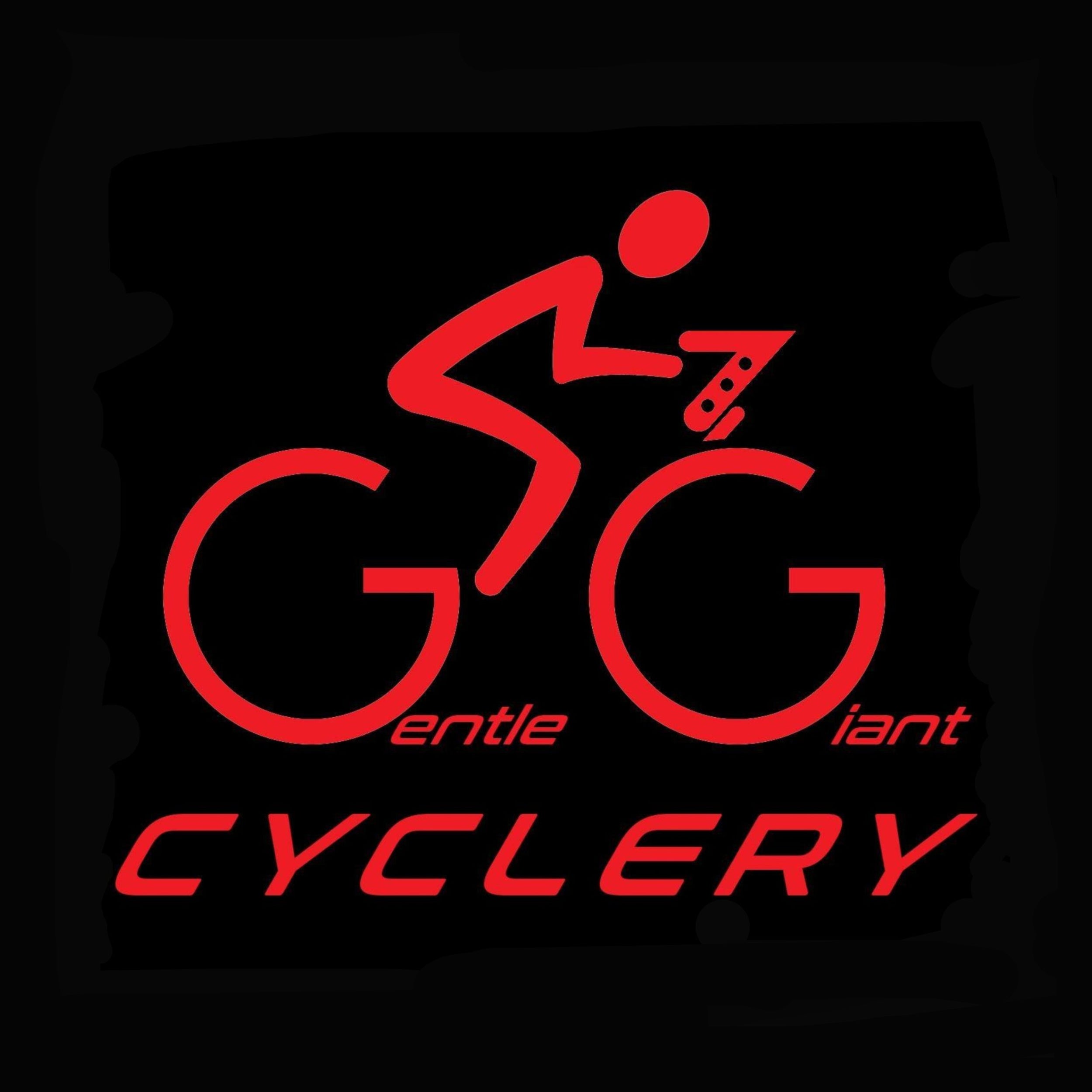 Wheel Angel Dealer Gentle Giant Cyclery Singapore