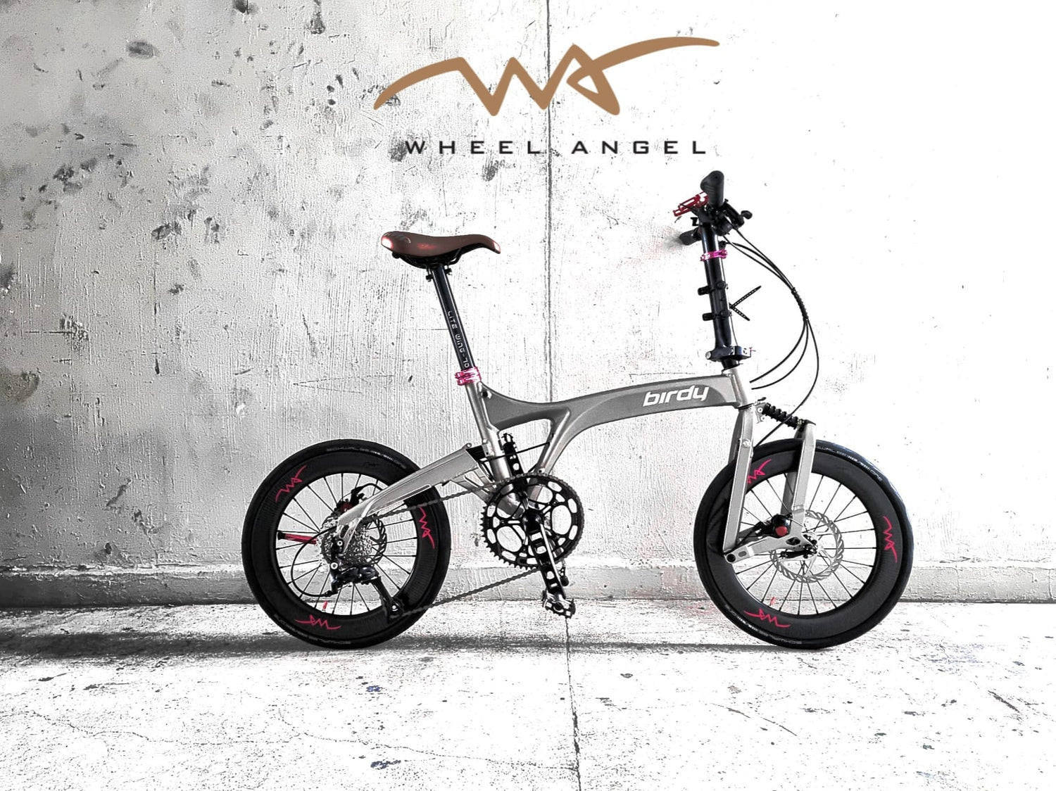 Wheel_Angel_M60_Birdy_Carbon_Wheels_32f93823-51fb-4e25-868c-2bc65a226beb