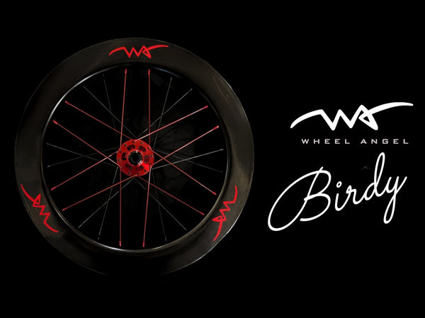 Birdy Wheels - Ridea Disc Brakes