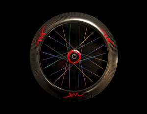 Birdy Wheels - Ridea Disc Brakes